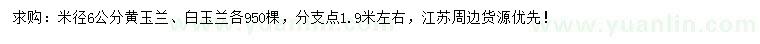 求購米徑6公分黃玉蘭、白玉蘭