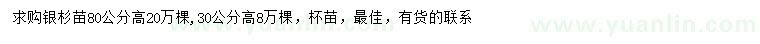 求購高30、80公分銀杉苗