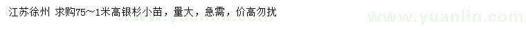 求購高75-100公分銀杉小苗