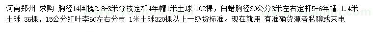 求購國槐、白蠟、紅葉李