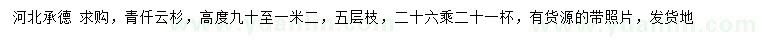 求購高度90-120公分青仟云杉