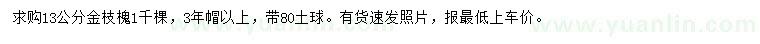 求購(gòu)13公分金枝槐