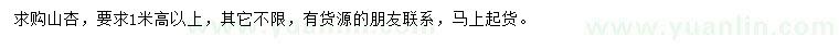 求購高1米以上山杏