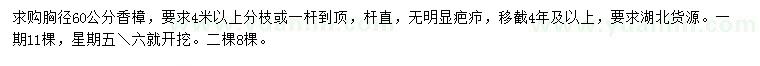 求購胸徑60公分香樟
