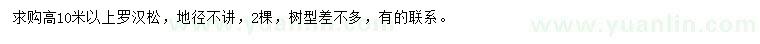 求購高10米以上羅漢松