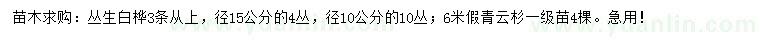 求購10、15公分叢生白樺、6米假青云杉