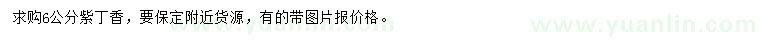 求購6公分紫丁香