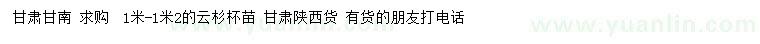 求購1-1.2米云杉