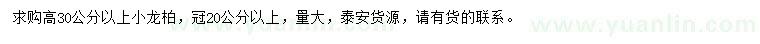 求購高30公分以上小龍柏