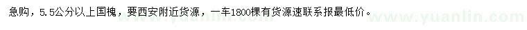 求購5.5公分以上國槐
