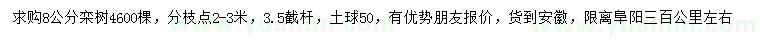求購8公分欒樹