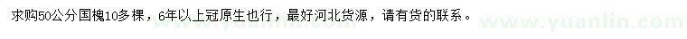 求購50公分國槐
