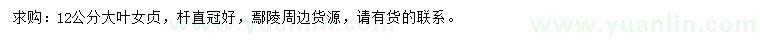 求購12公分大葉女貞