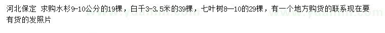 求購(gòu)水杉、白扦、七葉樹