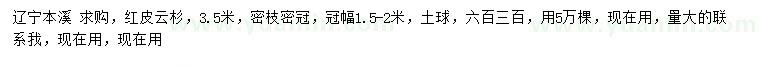 求購3.5米紅皮云杉