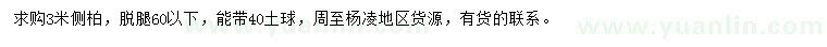 求購3米側柏