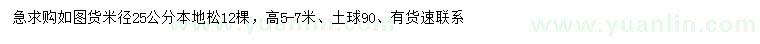 求購米徑25公分本地松