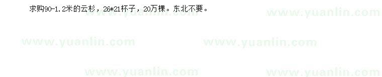 求購90-120公分云杉