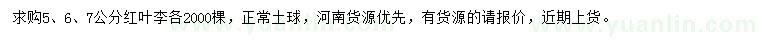 求購5、6、7公分紅葉李
