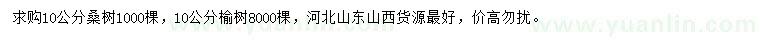 求購10公分桑樹、榆樹