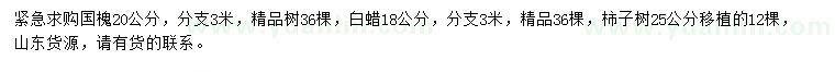 求購(gòu)國(guó)槐、白蠟、柿子樹(shù)