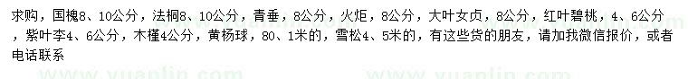 求購國槐、法桐、青垂等