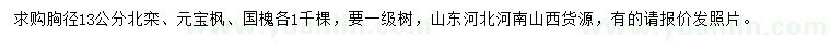 求購(gòu)北欒、元寶楓、國(guó)槐