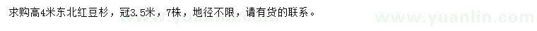 求購高4米東北紅豆杉