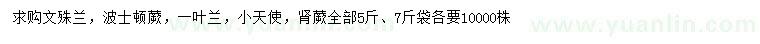 求購文殊蘭、波士頓蕨、一葉蘭等