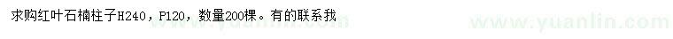 求購(gòu)高240公分紅葉石楠柱子
