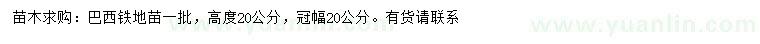 求購高度20公分巴西鐵