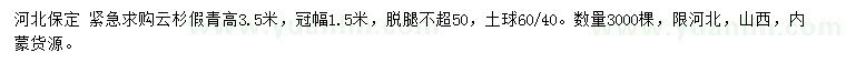 求購高3.5米云杉假青