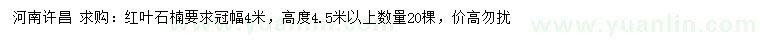 求購冠幅4米紅葉石楠