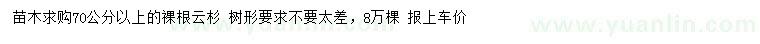 求購70公分以上云杉