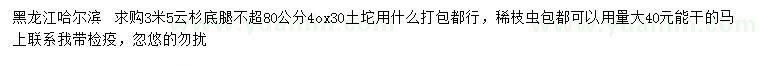 求購3.5米云杉
