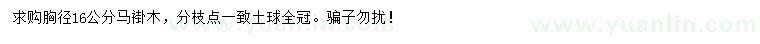 求購胸徑16公分馬褂木