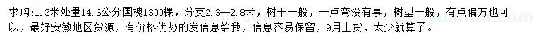 求購1.3米處量14.6公分國槐