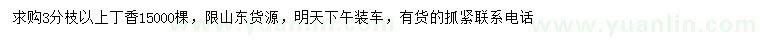 求購(gòu)3分枝以上丁香