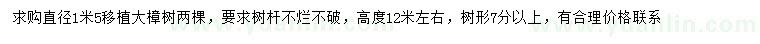 求購(gòu)直徑1.5米樟樹