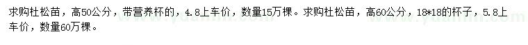 求購(gòu)高50、60公分杜松苗