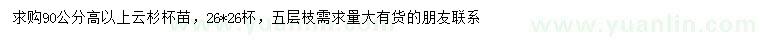 求購(gòu)高90公分以上云杉