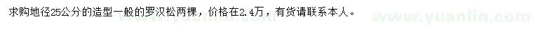 求購(gòu)地徑25公分羅漢松