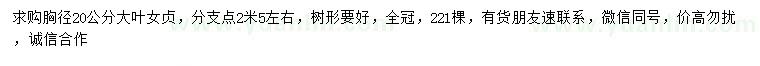 求購(gòu)胸徑20公分大葉女貞