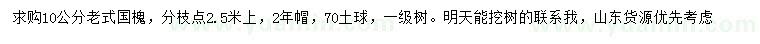求購10公分老式國槐