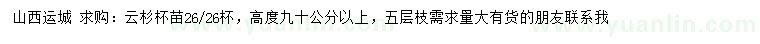 求購高度90公分以上云杉
