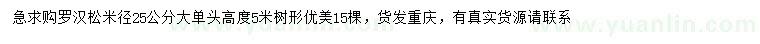 求購(gòu)米徑25公分羅漢松