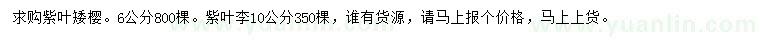 求購6公分紫葉矮櫻、紫葉李