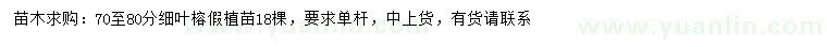 求購(gòu)70-80公分細(xì)葉榕假植苗