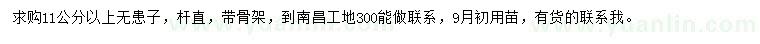 求購(gòu)11公分以上無(wú)患子