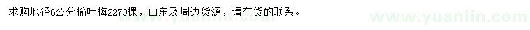 求購地徑6公分榆葉梅